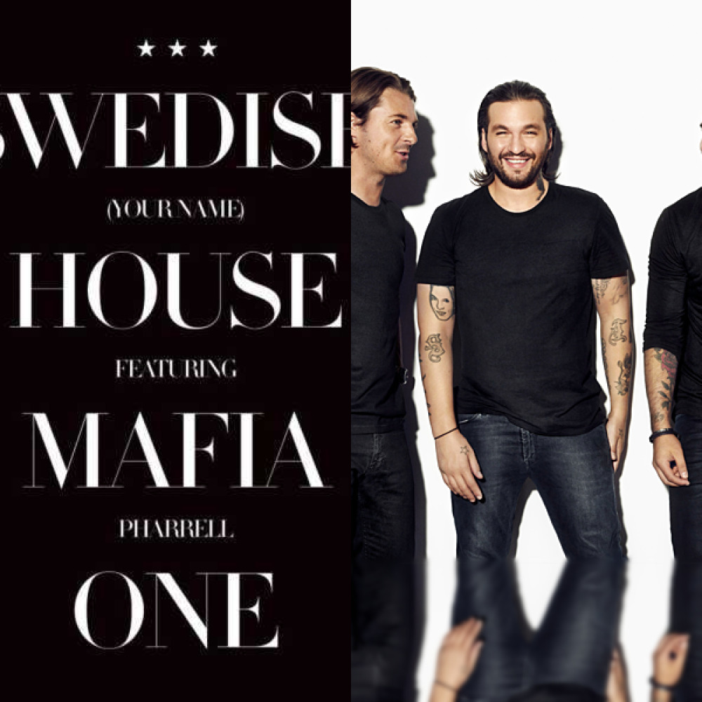 Swedish house mafia don t